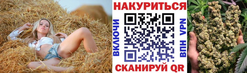 Каннабис планчик  Купить закладки  Новопавловск 